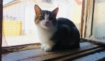Kiwi (2)7